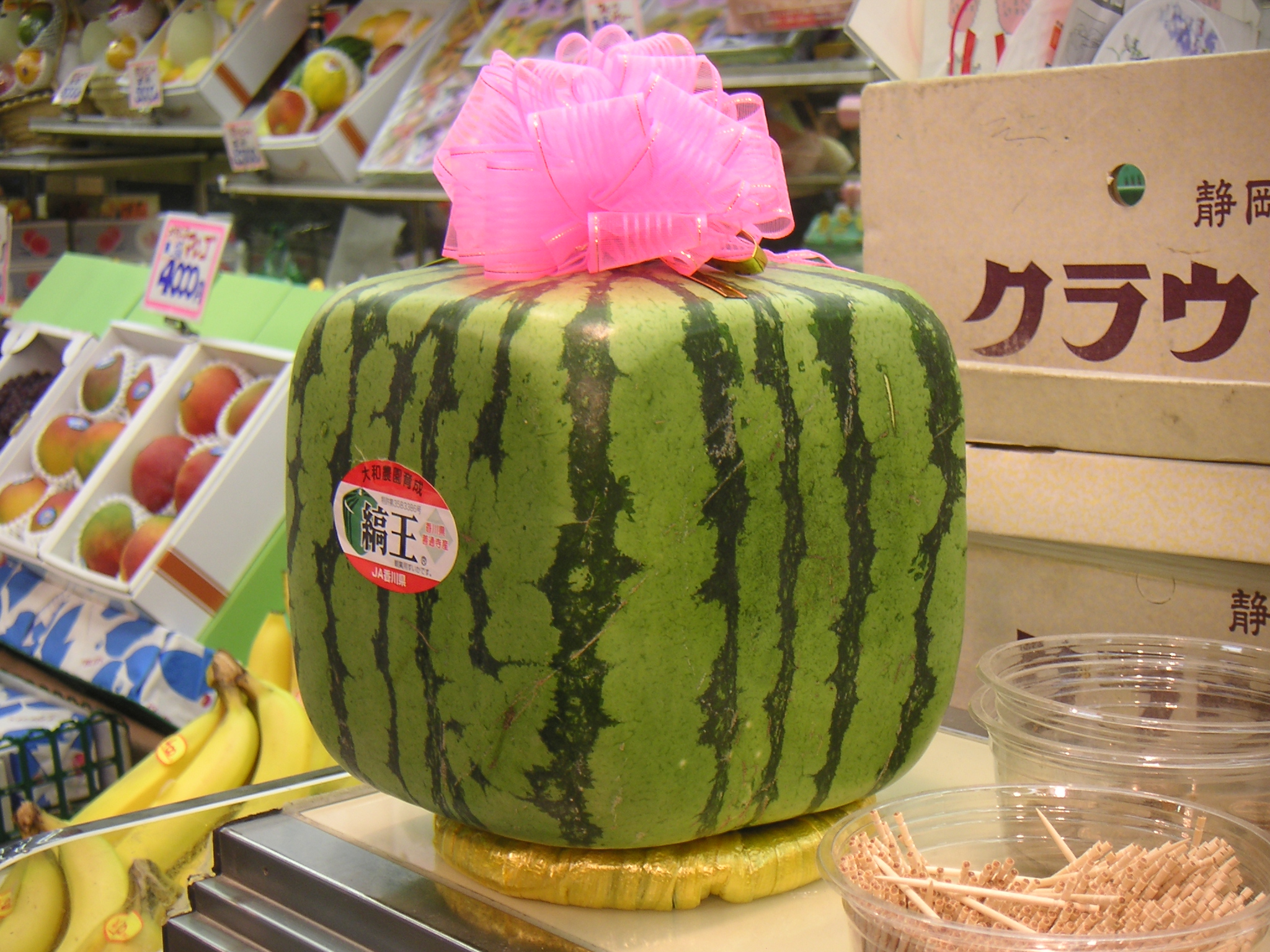 Square watermelon from Japan, Flickr user laughlin from Tokyo, Japan - Flickr Square watermelon from Japan, Flickr user laughlin from Tokyo, Japan - Flickr