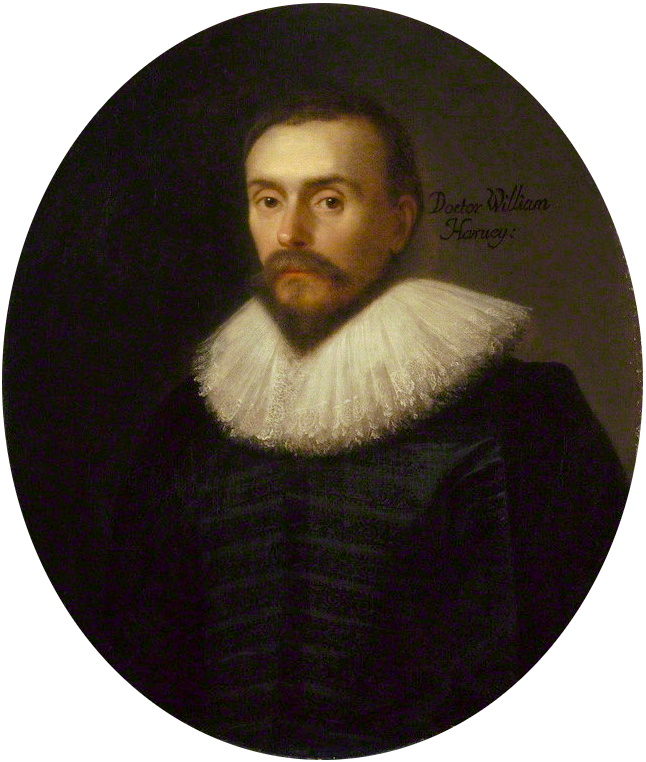 NPG 5115 ; William Harvey Légende : attribué à Daniel Mytens, huile sur toile, vers 1627 NPG 5115 ; William Harvey Légende : attribué à Daniel Mytens, huile sur toile, vers 1627