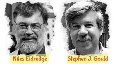 Niles Eldredge & Stephan Jay Gould