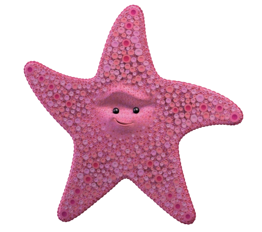 quintessence étoiles