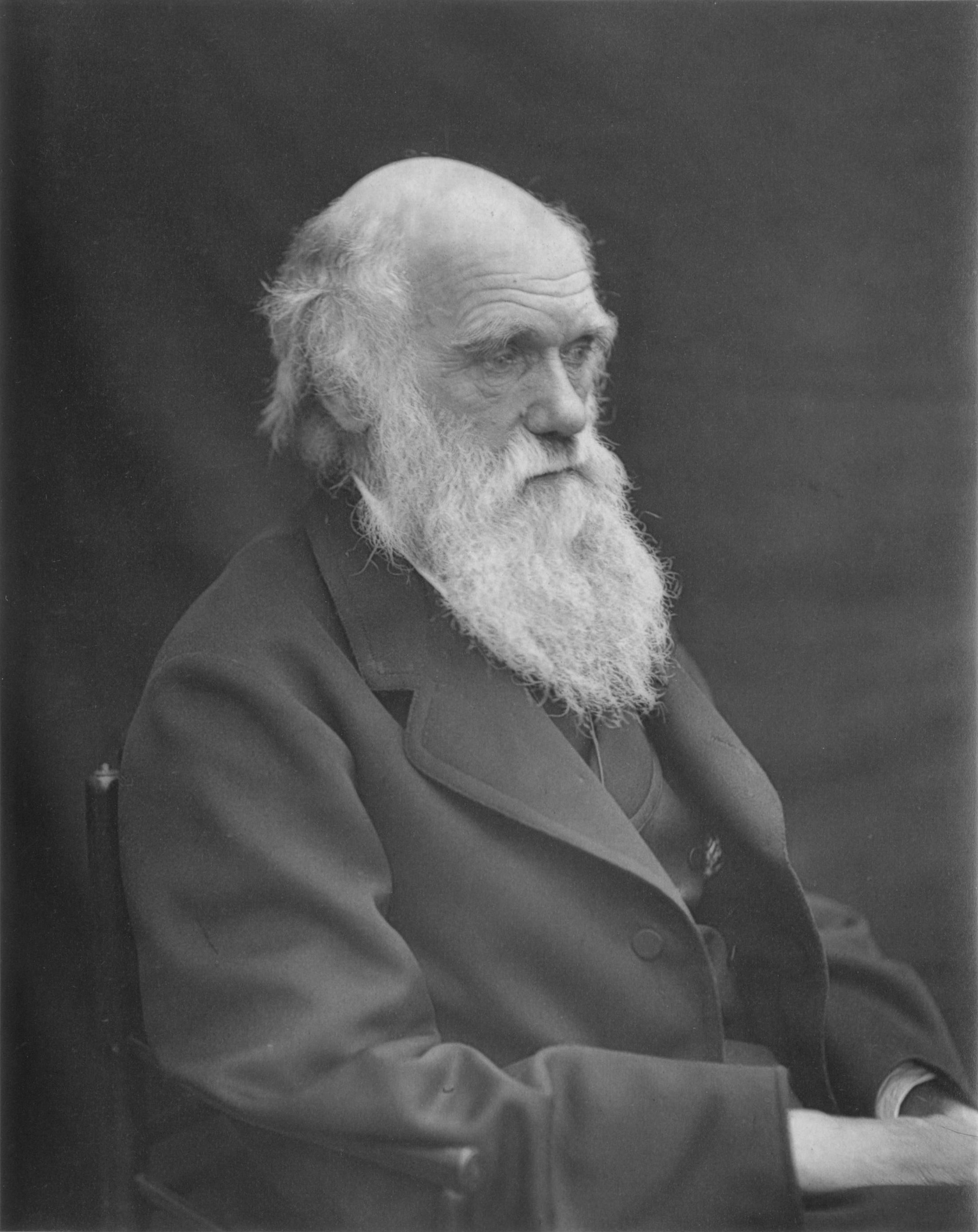 Charles Darwin Charles Darwin
