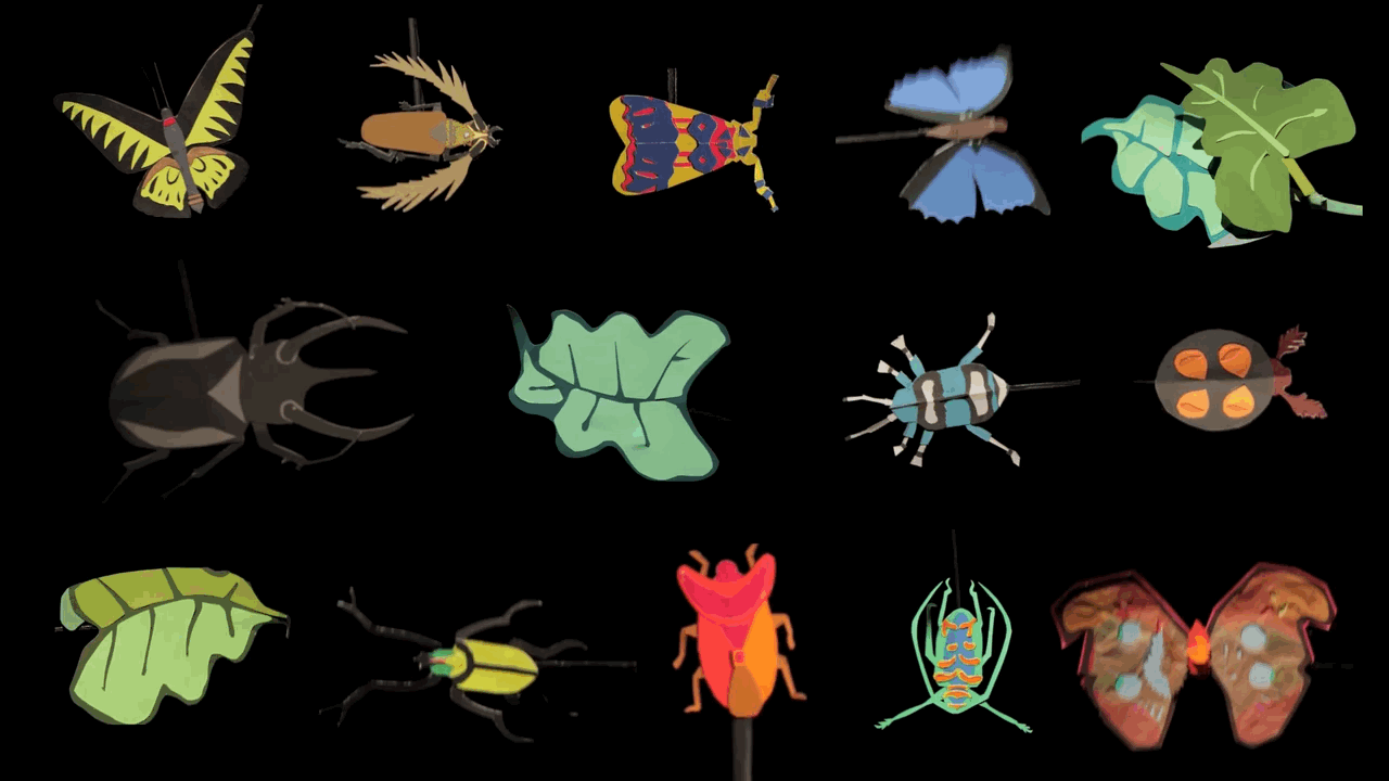 Animation tirée de The animated life of A.R. Wallace Animation tirée de The animated life of A.R. Wallace