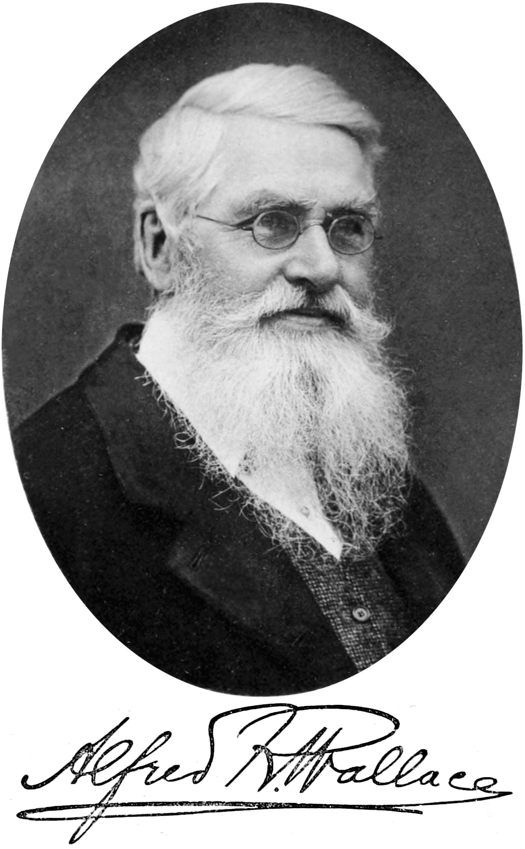 Alfred Russel Wallace Alfred Russel Wallace